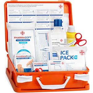 AIESI® Cassetta medica di pronto soccorso con ALLEGATO 2 per aziende meno 3 dipendenti, Conforme DM388/DL81, Made in Italy