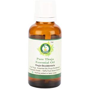 R V Essential Olio essenziale Thuja puro- 10ml (0.338oz) Thuja Occidentalis (100% Puro e Naturale Steam Distilled) Pure Thuja Essential Oil