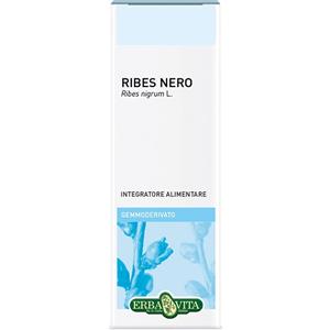 Erba Vita Ribes Nero Gemmoderivato 50 ml - Integratore Naturale per il Drenaggio dei Liquidi
