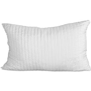 EVERGREENWEB MATERASSI & BEDS Evergreenweb - Imbottitura per Cuscini Arredo in Memory Foam Effetto Cuscini Piuma D'Oca Anallergico, Anime Interno per Cuscini, Indeformabile, Morbido Misure 30x50, 100% Made in Italy, novità!