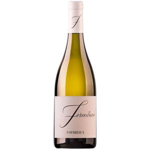 Cotarella Vino Bianco Barricato Ferentano Igp 2021 - Roscetto 13% - Perfetto con Primi Piatti di Carne e Carni Bianche