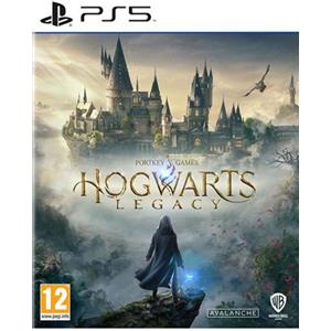 Warner Bros. Games Hogwarts Legacy per PlayStation 5 - PS50215