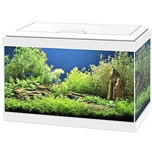 ASKOLL Acquario Aqua 20 bianco 40x20x31 con led e filtro 17 litri