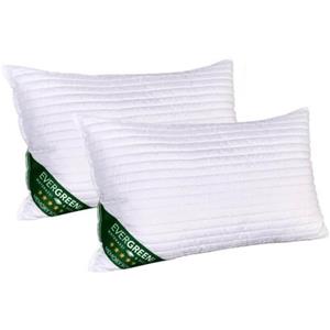 EvergreenWeb cuscinI memory soya 1 cuscino 40x70 cm
