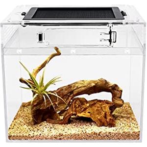 Reptile Growth PC Terrario, 8 x 8x 7 terrarium con vista completa visivamente accattivante, PC terrario rettili per Geco leopardino Drago barbuto Ragno lumaca insetto tarantola serpente