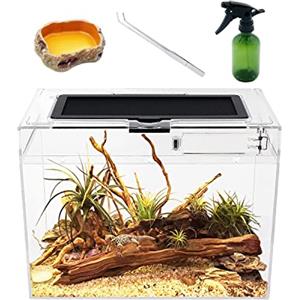 Reptile Growth PC Terrario Kit, 12 x 7x 9 PC terrarium con vista completa visivamente accattivante, PC terrario rettili per Geco leopardino Drago barbuto Ragno lumaca insetto tarantola serpente