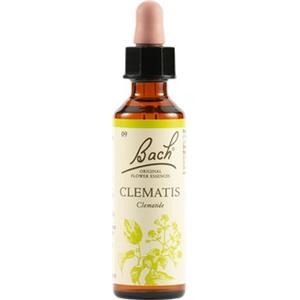 SCHWABE PHARMA ITALIA Srl Clematis - Fiore di Bach Originale n°9 - 20 ml