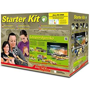 Lucky Reptile Starter Kit per geco leopardino 80 cm - Set completo di pregio per terrario per allevare e tenere gechi - Starter set per geco leopardo per principianti nero