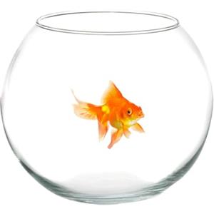 TradeShopOISEART Trade Shop - Ampolla Boccia per Pesci in Vetro 30 Cm Acquario Pesce Rosso Centrotavola