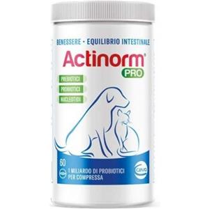 Ceva SCADENZA 07/2026 - Ceva Actinorm Pro per Cani e Gatti 60 Compresse per Benessere ed Equilibrio Intestinale