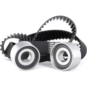 DAYCO Set di cinghie di distribuzione KTB560 - Peso 2,9 kg