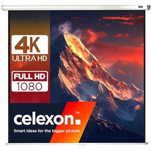Celexon - Schermo per proiettore Manuel Economy, 120 x 120 cm