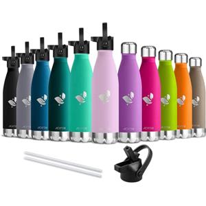 AORIN Doppia Bottiglia per Vuoto in Acciaio Inossidabile, processo di verniciatura a Polvere, Resistente ai Graffi, Facile da Pulire (750ml, Ciliegia)