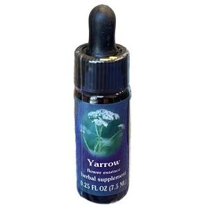 YARROW ESS 7,4ML CALF - NATUR - 900901909