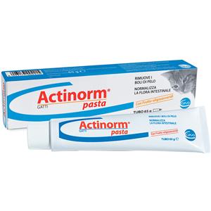 Ceva Actinorm Pasta Gatti 65g - Rimuove i Boli di Pelo e Normalizza la Flora Intestinale