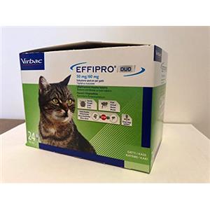 Virbac - Effipro Duo Gatto 24 Pipette