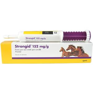 Zoetis Strongid Pasta Orale 152mg/g per Cavalli - Vermifugo Efficace in Siringa da 26g