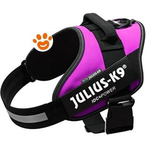 Pettorina IDC Julius K9 Powerharness (ITA) - Fucsia, XXXS / Baby 1 (29-36cm)