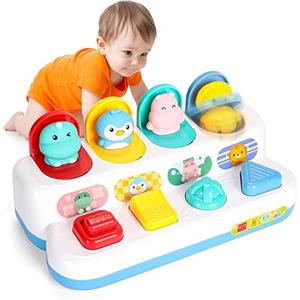 LZDMY Giochi Bambini 1 2 3 4 Anni Giocattoli Montessori Bimbo 1 Anno Giocattolo Sensoriale Bambini 6 9 12 18 Mesi, Giocattoli Educativi Interattivi, Regalo Bambino (Pop up Animali)