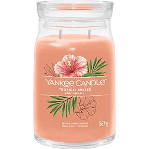 Yankee Candle Signature Candela Profumata, Brezza Tropicale in Giara Grande, Candele di Miscela di Cera di Soia Lunga Durata, Regalo per le Donne