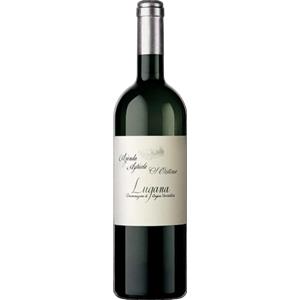 Zenato Lugana Santa Cristina 2023/2024 - Vino Bianco Fermo da Uve Turbiana, Fresco e Aromatico, Perfetto con Carni Bianche e Pesci di Lago