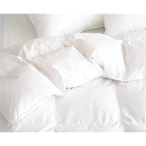 Home Tresor - Piumino in Vera Piuma d'Oca Matrimoniale, Piumone Invernale Caldissimo, 90% piumino 10% piumetta, cm. 250 x 200, bianco