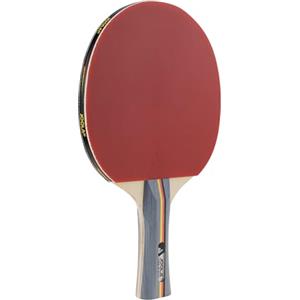 JOOLA Mazza da tennis da tavolo TEAM SCHOOL Mazza da tennis da tavolo di alta qualità - Ideale per gli sport ricreativi Spugna da 1,5 mm