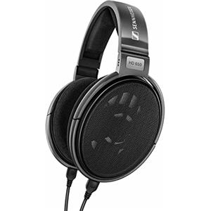 Sennheiser HD 650 - Cuffia stereofonica Hi-Fi dinamica aperta, tipo circumaurale