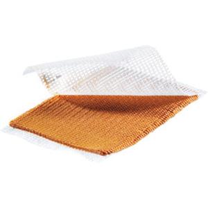 Smith & Nephew Iodosorb Pasta Medicazione Antisettica 5 Bustine da 5g - Assorbe gli Essudati e Rilascia Iodio