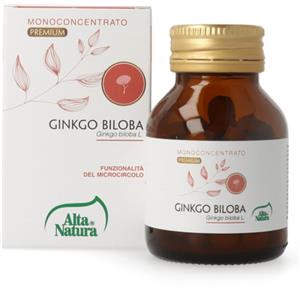 ALTA NATURA-INALME Srl Ginkgo Biloba 100 Compresse da 900mg - Monoconcentrato Ginkgo Biloba. Antiossidante. Circolazione del Sangue. Memoria e Funzioni Cognitive.