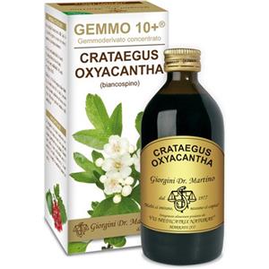 Dr. Giorgini Biancospino Gemmo 10 - Integratore Alimentare Liquido Analcolico 200 ml per la Salute Cardiovascolare