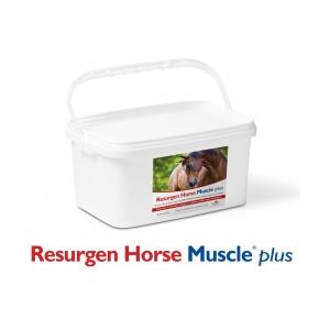 NBF Lanes Resurgen Horse Muscle Plus 60 Buste 35 gr