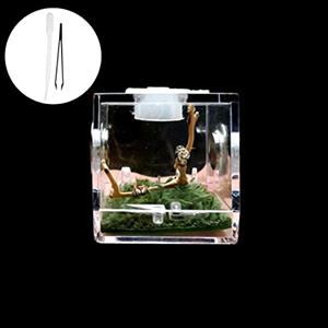 Hiessgozy Ragno Rettile Insetto Scatola di Alimentazione Rettile Allevamento Box Terrario Accessori Box Per Ragno Tarantola Lumaca Cricket Insetto Piccolo Gecko Tank terrario lucertola Terra Tartaruga Box