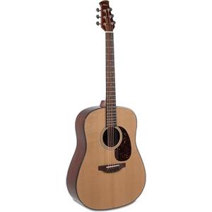 Applause Chitarra acustica Applause Wood Classics AAD96-4 Naturale Lucido