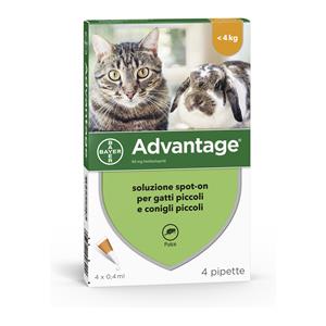 Advantix Advantage Gatti piccoli e conigli - 4 pipette