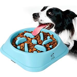 Ciotola anti-ingozzamento per cani ingordi