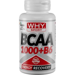 WHY SPORT BCAA 1000 + B6 - BCAA 2.1.1 - Aminoacidi Ramificati con Vitamina B6 (100)