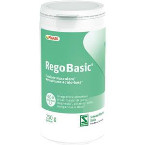 Regobasic Polvere 250 g - Equilibrio Acido-Base e Benessere Digestivo