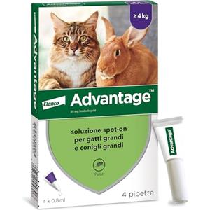 Elanco Advantage spot-on trattamento antipulci per gatti grandi e conigli grandi, 4 pipette.