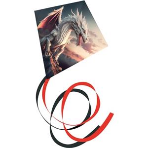 Paul Günther 1147 - Aquilone Thoron a Linea Singola con Motivo Aquilone, in Robusto Poliestere Ripstop, per Bambini a Partire dai 6 Anni, con Maniglia di avvolgimento, Corda e Coda