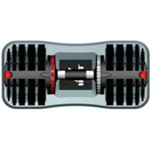 GOVITA Set Manubri Pesant Regolabili A Carico Variabile Pesi bilanciere Allenamento Corpo Home Palestra Casa i (Coppia da 32Kg cad.)