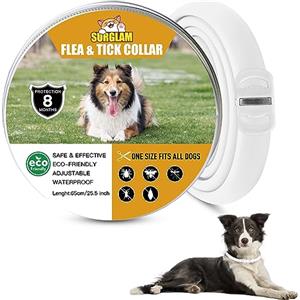 Surglam Collare Antipulci e Zecche per Cani, Collare Regolabile Impermeabile, 8 Mesi di Protezione, Soluzione Naturale Contro i parassiti per Cani, Taglia Unica per Tutti (Weiß-1 pz)