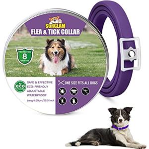 Surglam Collare Antipulci e Zecche per Cani, Collare Regolabile Impermeabile, 8 Mesi di Protezione, Soluzione Naturale Contro i parassiti per Cani, Taglia Unica per Tutti (Lila-1 pz)
