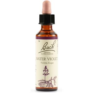 Schwabe Pharma Water Viol Bach Orig 20 Ml