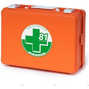 AIESI HOSPITAL SERVICE Sas CASSETTA IN PLASTICA CON SUPPORTO ATTACCO A PARETE PER PRONTO SOCCORSO ALLEGATO 1 AZIENDE GRUPPO A/B DIMENSIONI 395X270X135 MM ARANCIO PESO 6,2KG