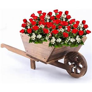 Denny International Rustic Garden Supplies - Carriola ornamentale, per piante, BAR5/B