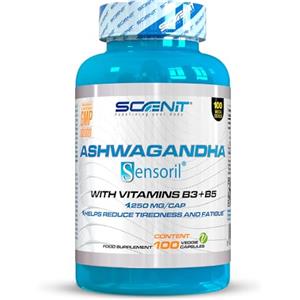 Scenit Redefining your Body Ashwagandha capsule - Ashwagandha Sensoril con oltre il 10% senza anolidi, con Vitamina B3 e Vitamina B5-250 mg per capsula - 100 capsule vegane per 100 giorni