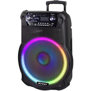 Trevi XFest XF 1600 KB Altoparlante Amplificato Alta Potenza 200W, Cassa Wireless Portatile con Microfono Dinamico Incluso per Karaoke, Presa USB, Micro SD, AUX-IN, TWS, Batteria Integrata