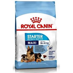 Royal Canin Maxi Starter Mother & Babydog - Alimento Completo per Cagne di Grande Taglia e Cuccioli (4 kg)