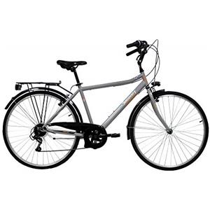 Discovery Denver 19237 Bici Manhattan, Silver Metallizzato, 28 Pollici